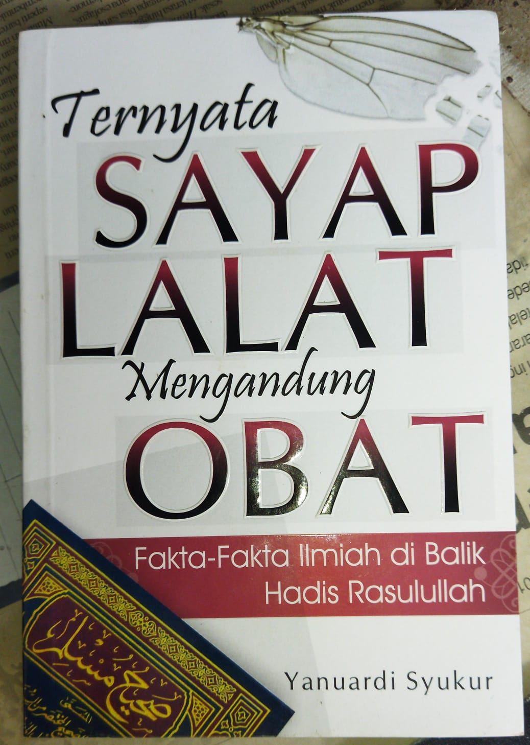 TERNYATA SAYAP LALAT MENGANDUNG OBAT